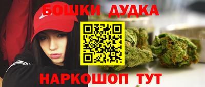 индика Новокубанск